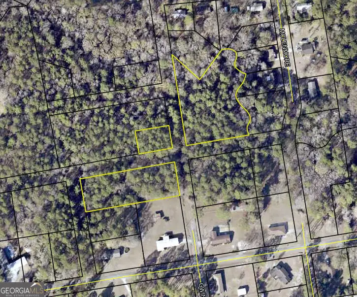 0 Mclemore Street, Lyons, GA 30436 - Image #1