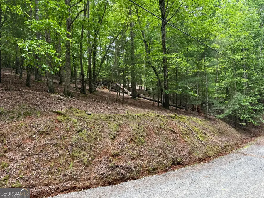 0 Pelican Drive, Ellijay, GA 30540 - #3