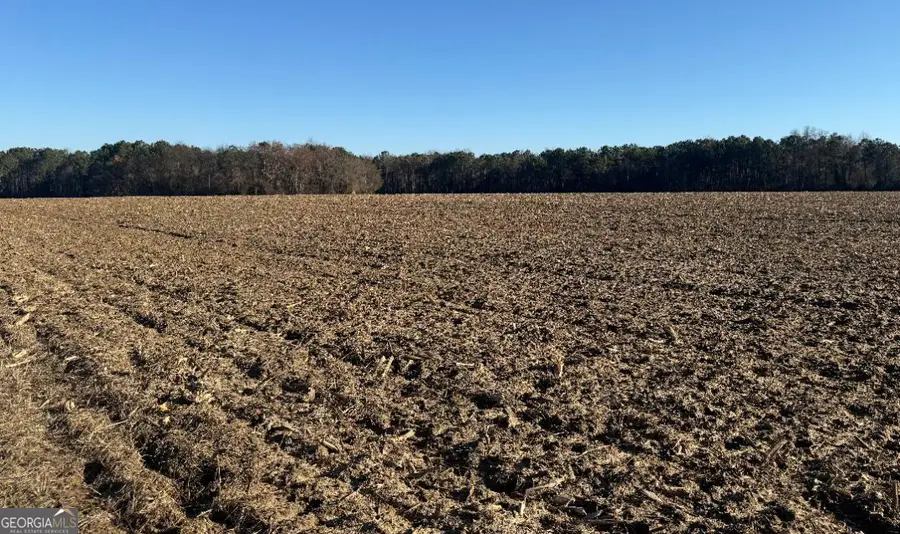 0 Whitfield Road, Elko, GA 31025 - #3