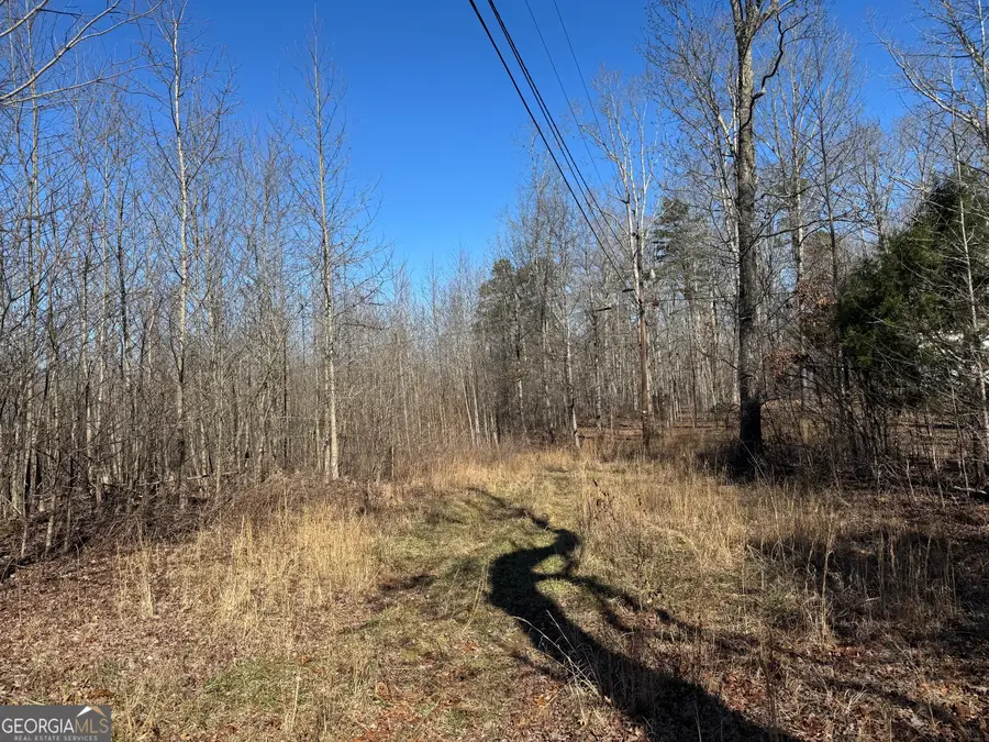 33 Riverhaven Lane, Menlo, GA 30731 - #3