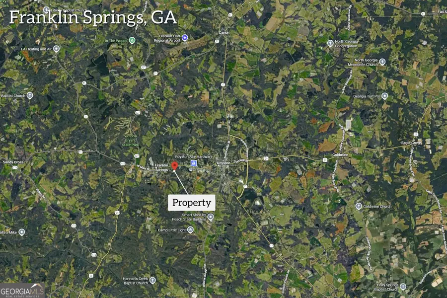 141 Carey Street, Franklin Springs, GA 30662 - #3