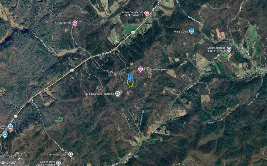 601 Pine Pass Cir, Mineral Bluff, GA 30559 - #2