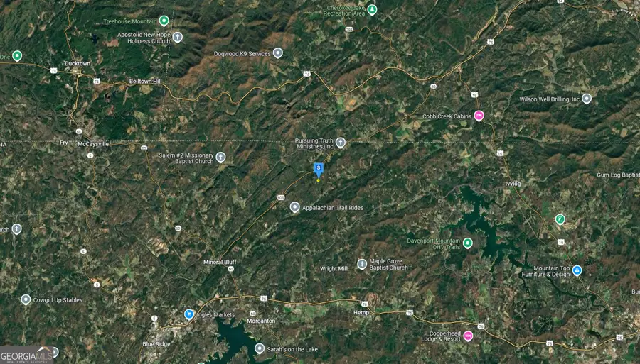 601 Pine Pass Cir, Mineral Bluff, GA 30559 - #3