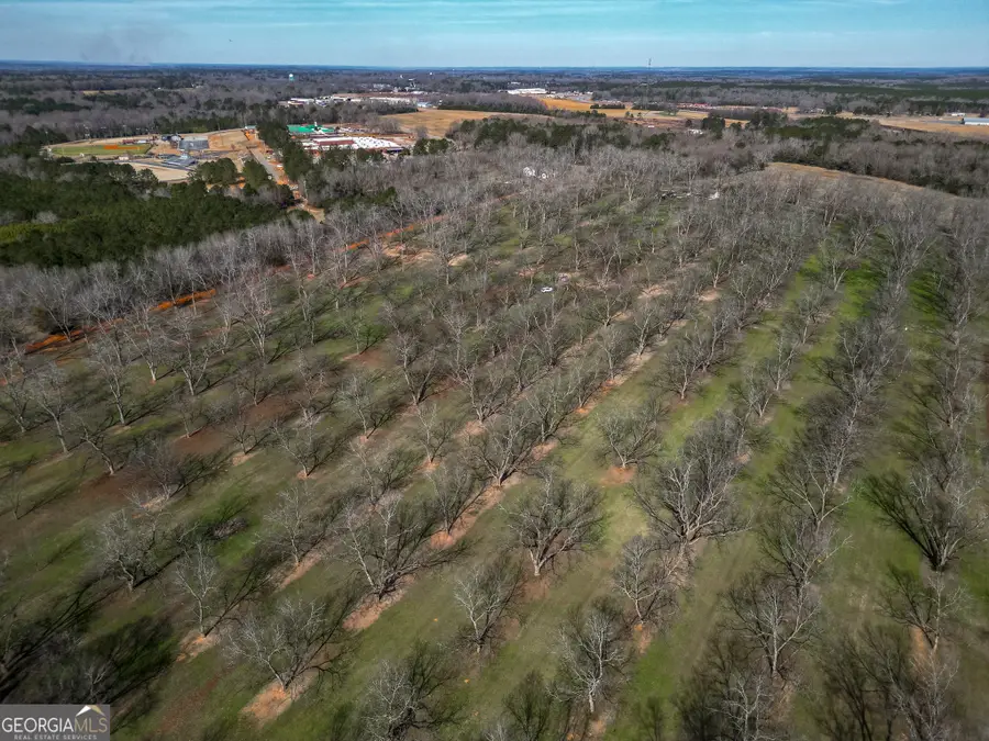 0 Old Hwy 19 South, Ellaville, GA 31806 - #2