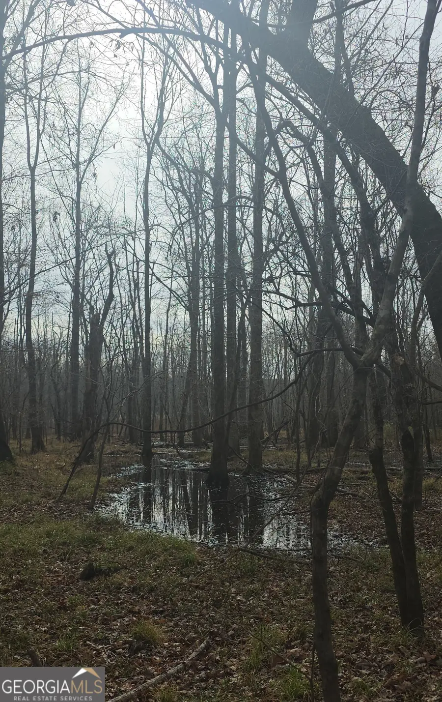 7367 Crest Highway, Molena, GA 30258 - #2