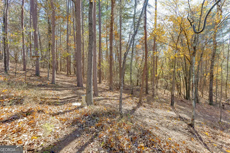 6360 Nix Road, Dawsonville, GA 30534 - Image #3