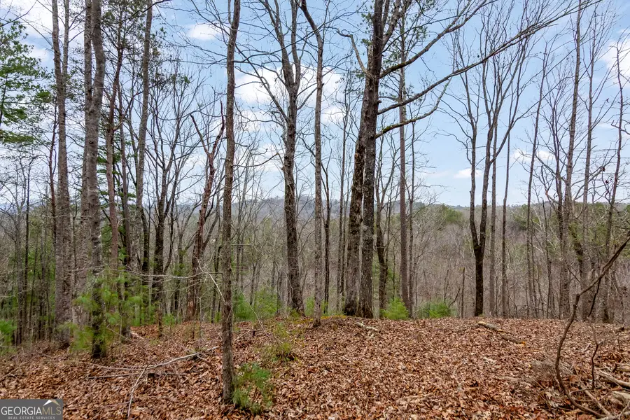 LOT 1694 Shade Tree Drive, Talking Rock, GA 30175 - Image #2
