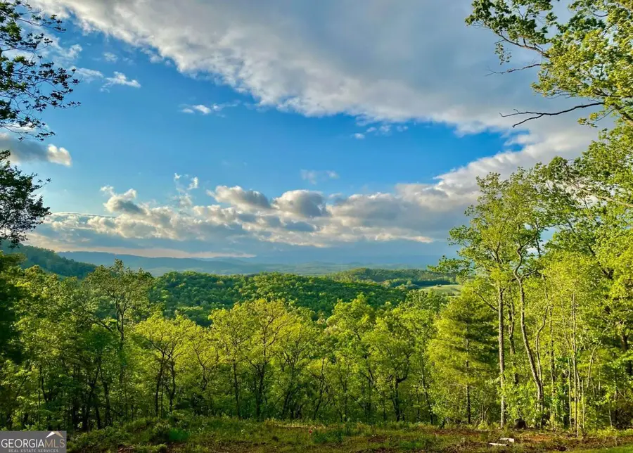 416 Undisclosed Drive, Morganton, GA 30560 - Image #3