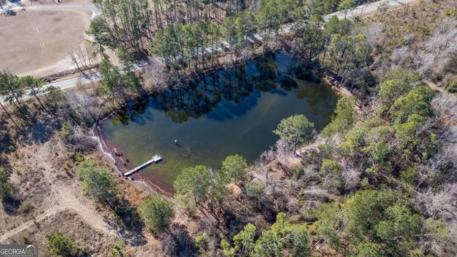 27 Ernest Carter Road, Hazlehurst, GA 31539 - #3