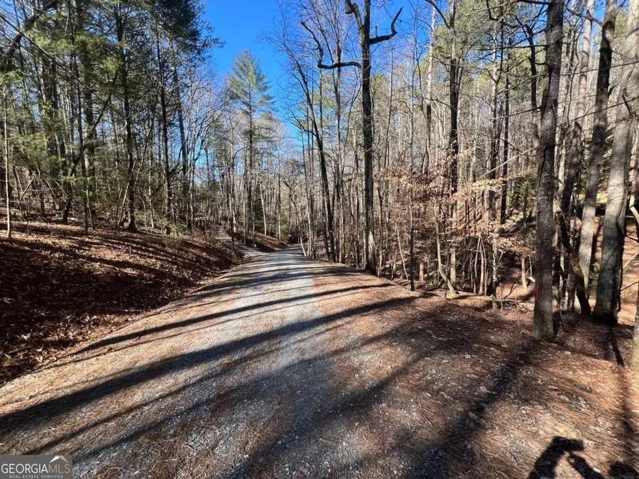 18 Lily Lane, Ellijay, GA 30540 - #2