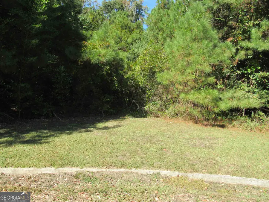 125 N Laura Ann Court, Macon, GA 31210 - #2