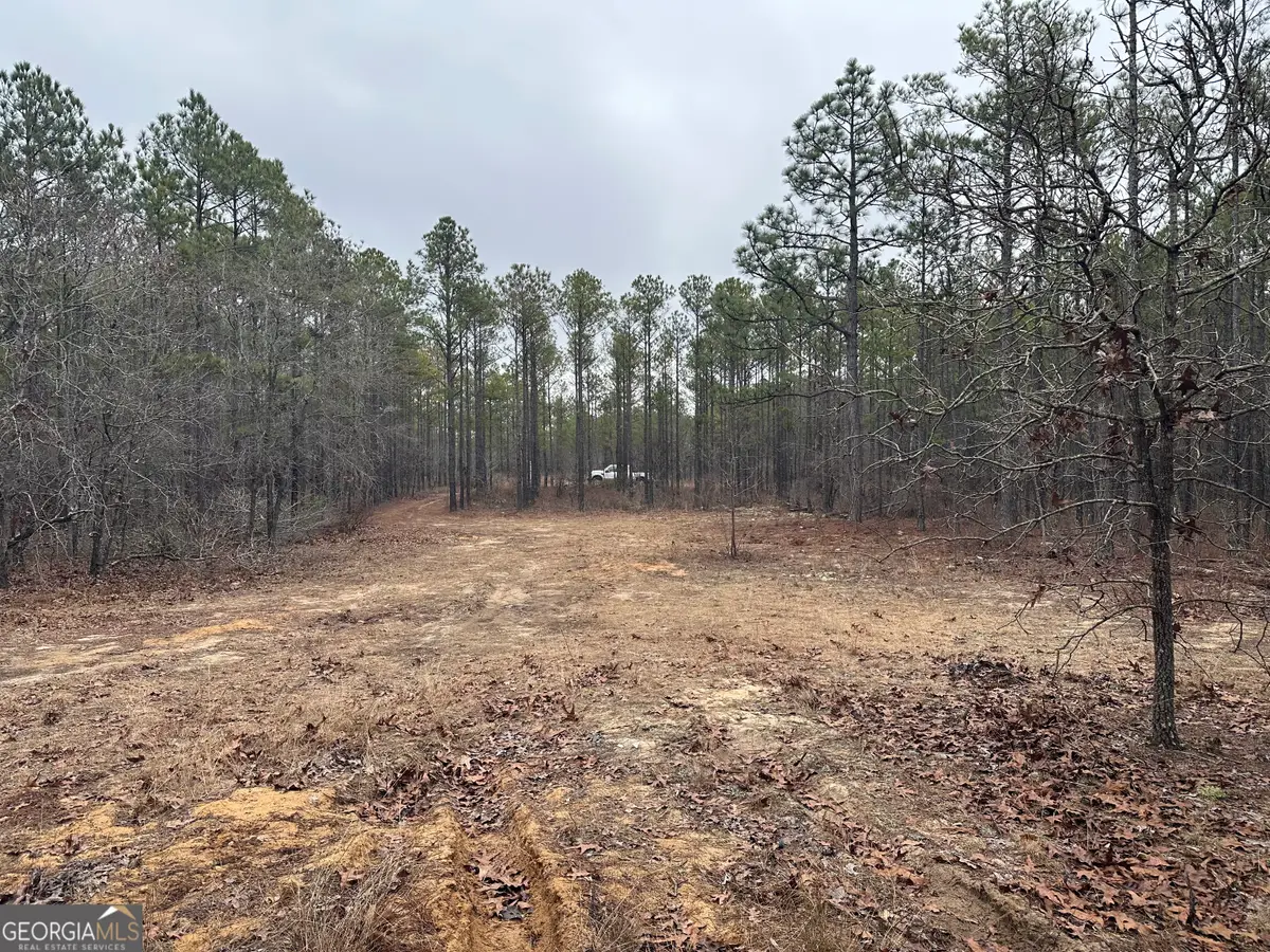 000 Hunter Drive, Mauk, GA 31058 - Image #1