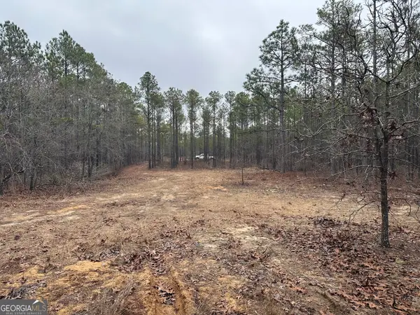 000 Hunter Drive, Mauk, GA 31058