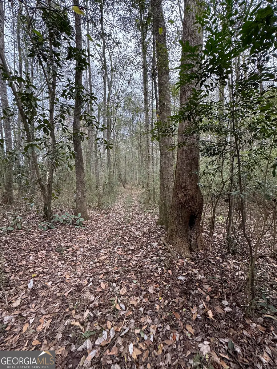 0 111 North Highway, Cairo, GA 39827 - #3