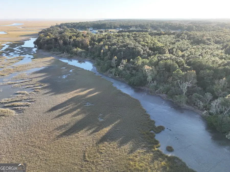 0 Deloach Road, Midway, GA 31320 - #2