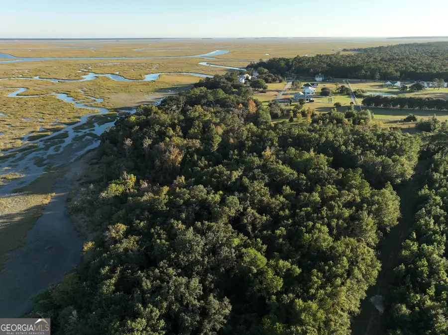 0 Deloach Road, Midway, GA 31320 - #3