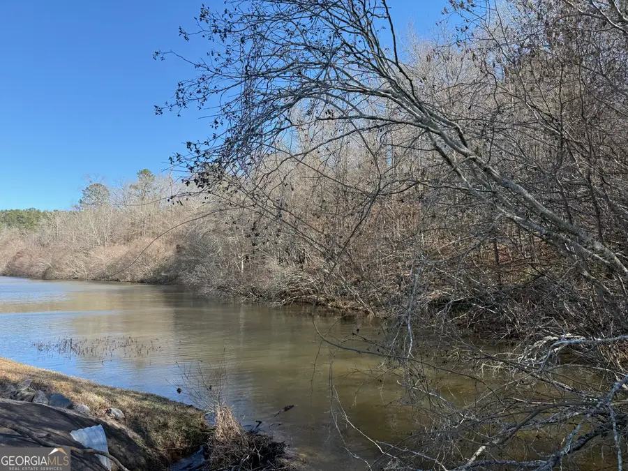 7.725 AC Slalom Pass, Forsyth, GA 31029 - #3