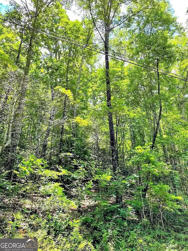 0 Blue Ridge Gap Road, Rabun Gap, GA 30568