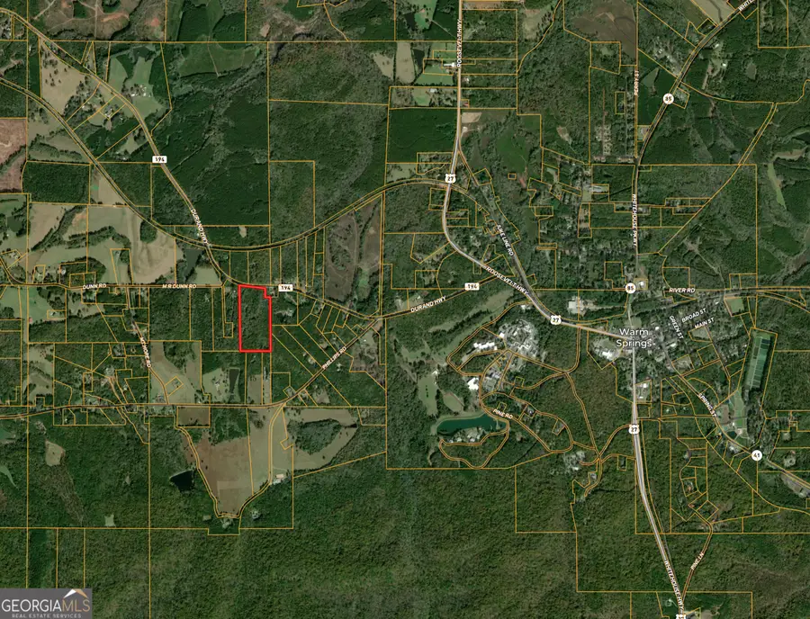 0 Durand Highway, Warm Springs, GA 31830 - #3