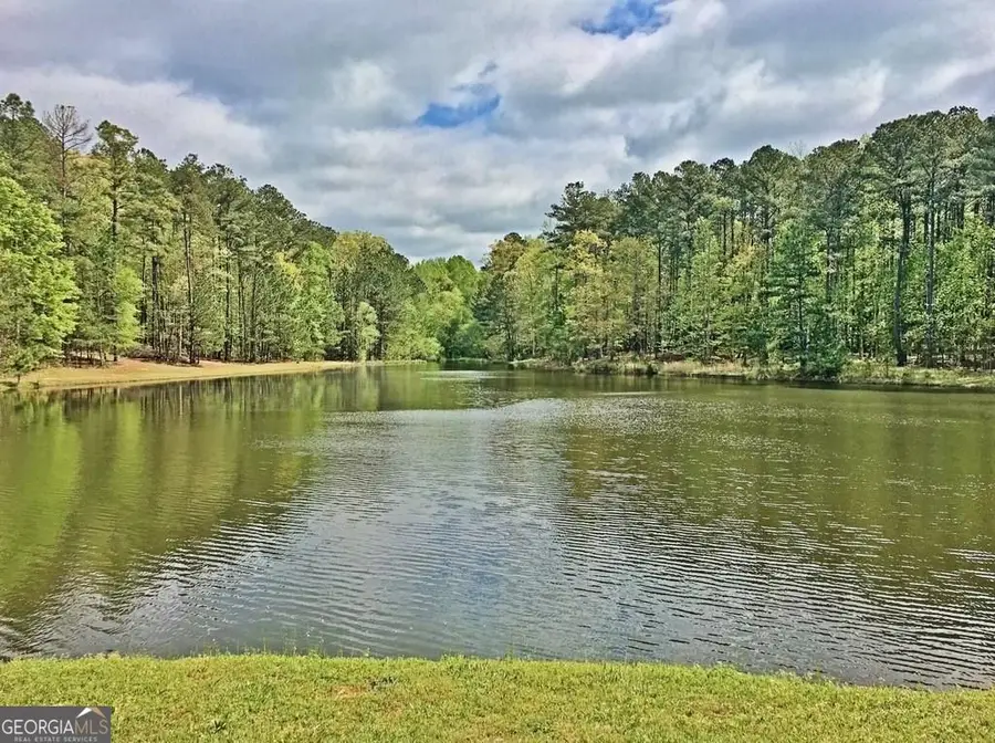 155 Canal Place, Fayetteville, GA 30215 - #2