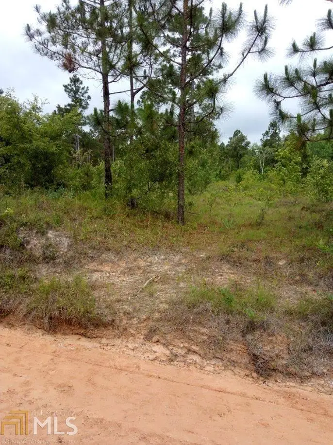 0 Bill Glenn Rd Off Highway 56, Swainsboro, GA 30401 - #2