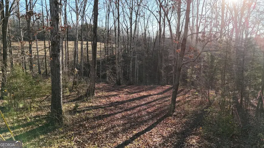 151 Sandy Springs Drive, Athens, GA 30601 - #2