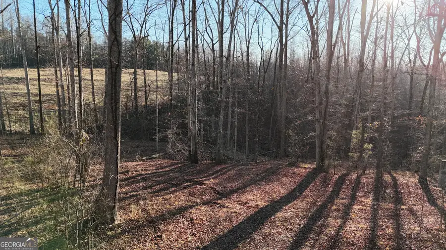 151 Sandy Springs Drive, Athens, GA 30601 - #3