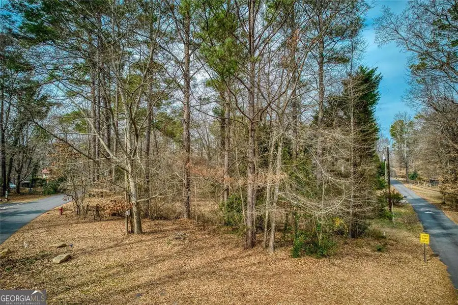 114 Cedar Street, Roswell, GA 30075 - #3