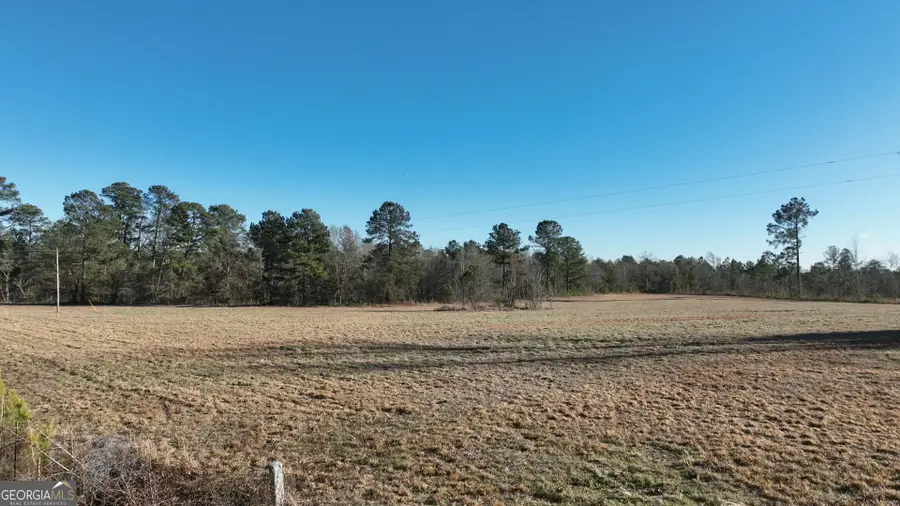 5257 Blume Road Road, Mitchell, GA 30820 - #2