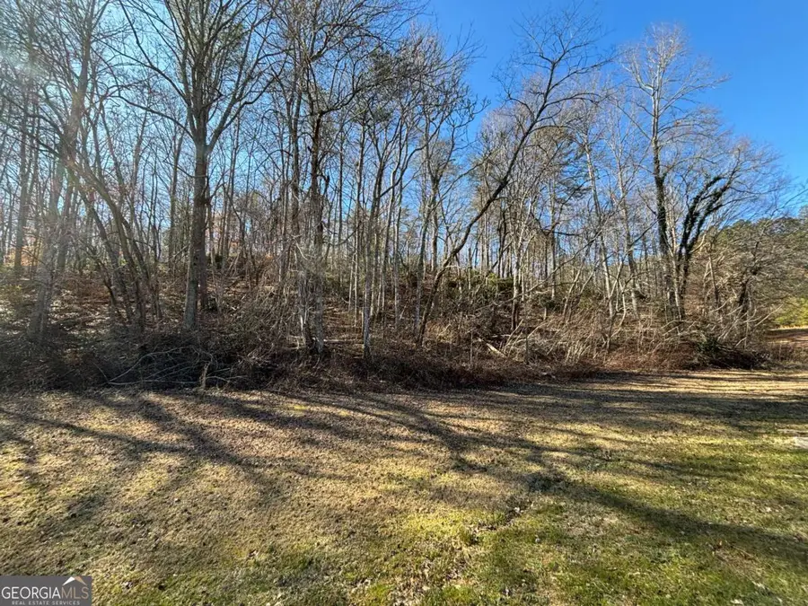 LOT 18 Brasstown Trails, Warne, NC 28909 - #2
