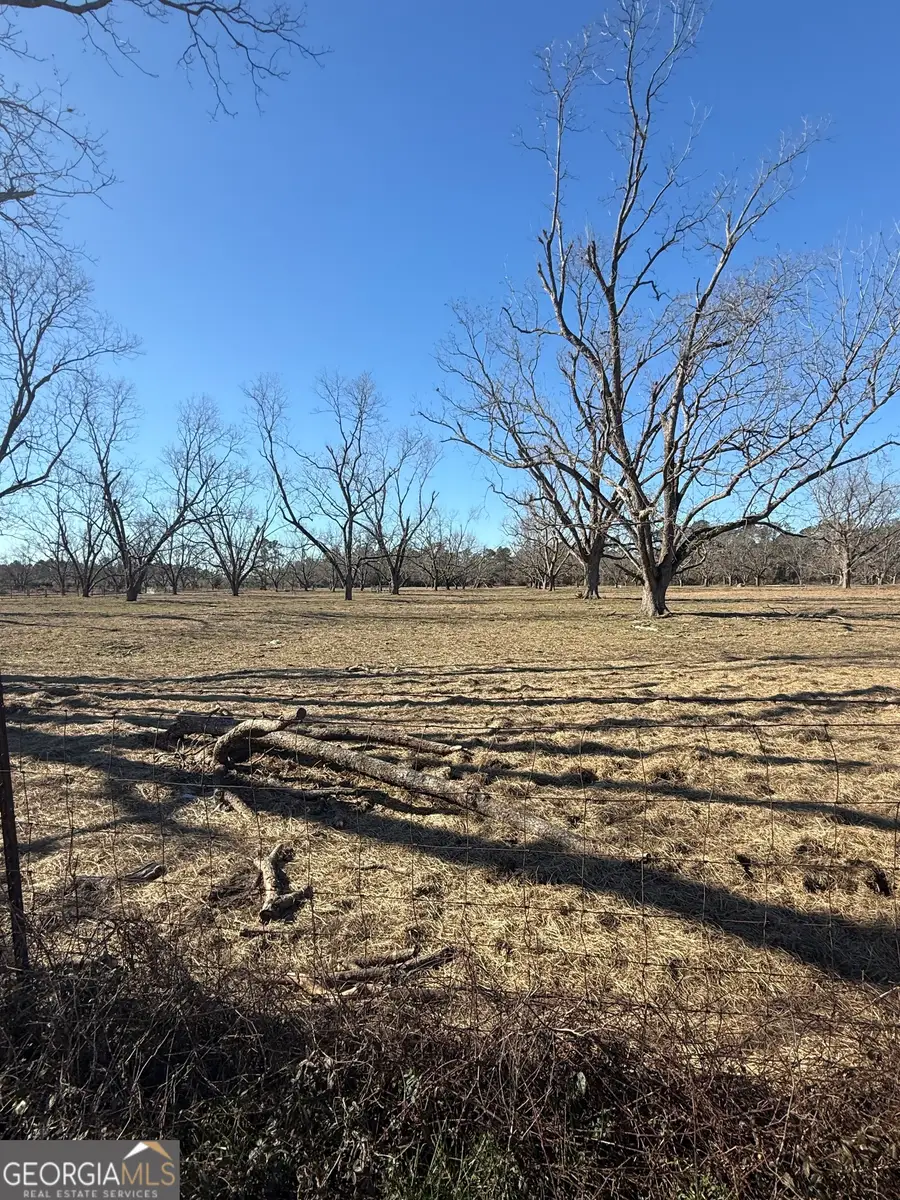 140 Keas Church Cir, Adrian, GA 31002 - #3