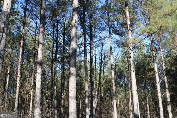 0 Iron Hill, Taylorsville, GA 30178