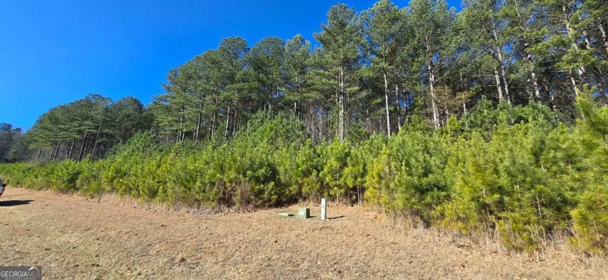 LOT 41 Deyton Drive, Blairsville, GA 30512 - #1