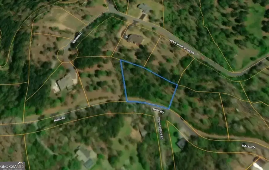 0 Hall Road, Young Harris, GA 30582 - #3