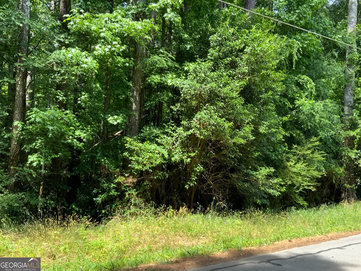 1140 Caboose Court, Greensboro, GA 30642 - #1