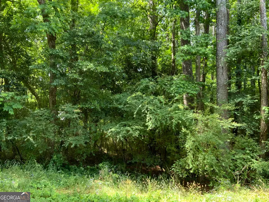 1140 Caboose Court, Greensboro, GA 30642 - #2