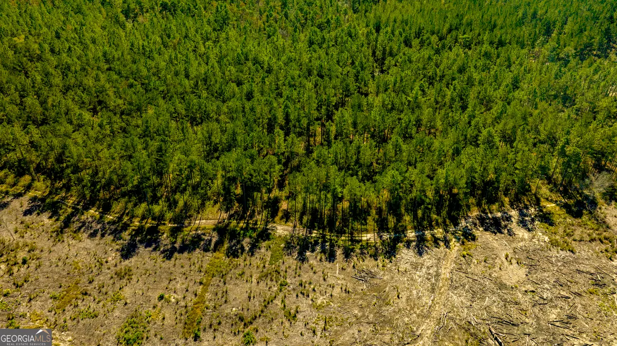 O Bay Branch Road, Claxton, GA 30417 - Image #1