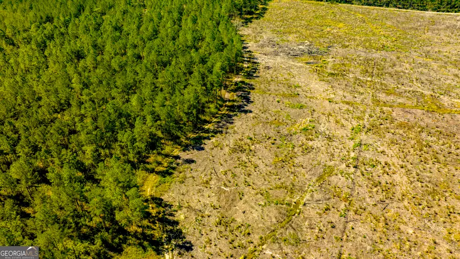 O Bay Branch Road, Claxton, GA 30417 - Image #2