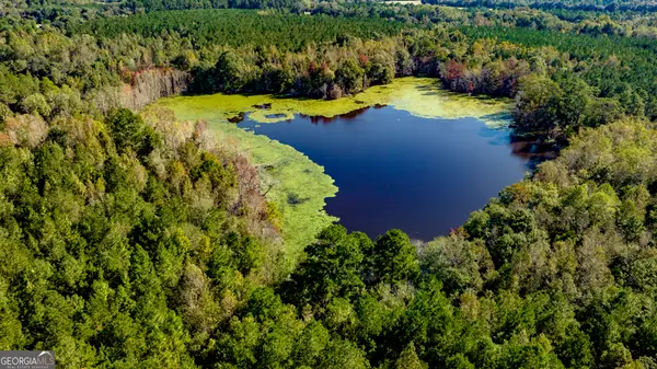 2947 Ivey Avenue, Claxton, GA 30417