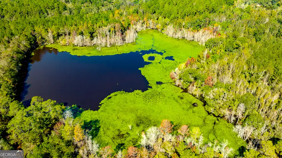 2947 Ivey Avenue, Claxton, GA 30417 - Image #2