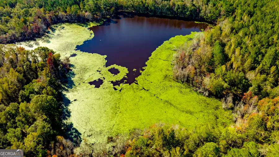 2947 Ivey Avenue, Claxton, GA 30417 - Image #3