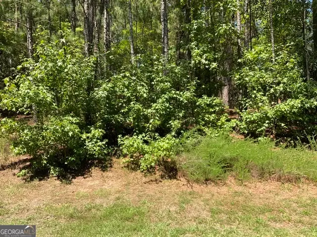 1101 Anchor Bay Circle, Greensboro, GA 30642 - #3