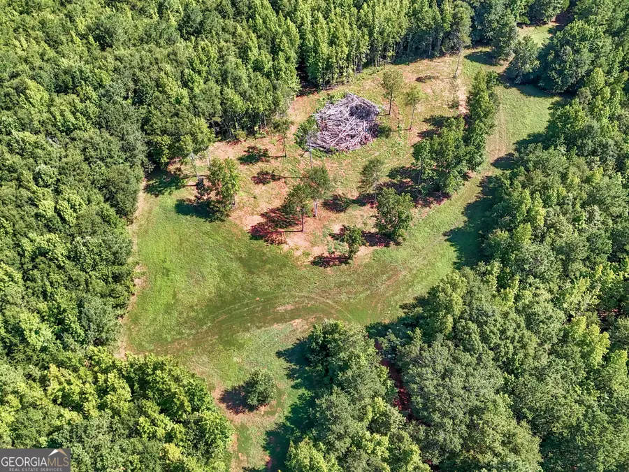 0 White House Parkway, Warm Springs, GA 31830 - #3