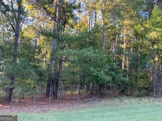 1061 Big Water Point, Greensboro, GA 30642 - #3