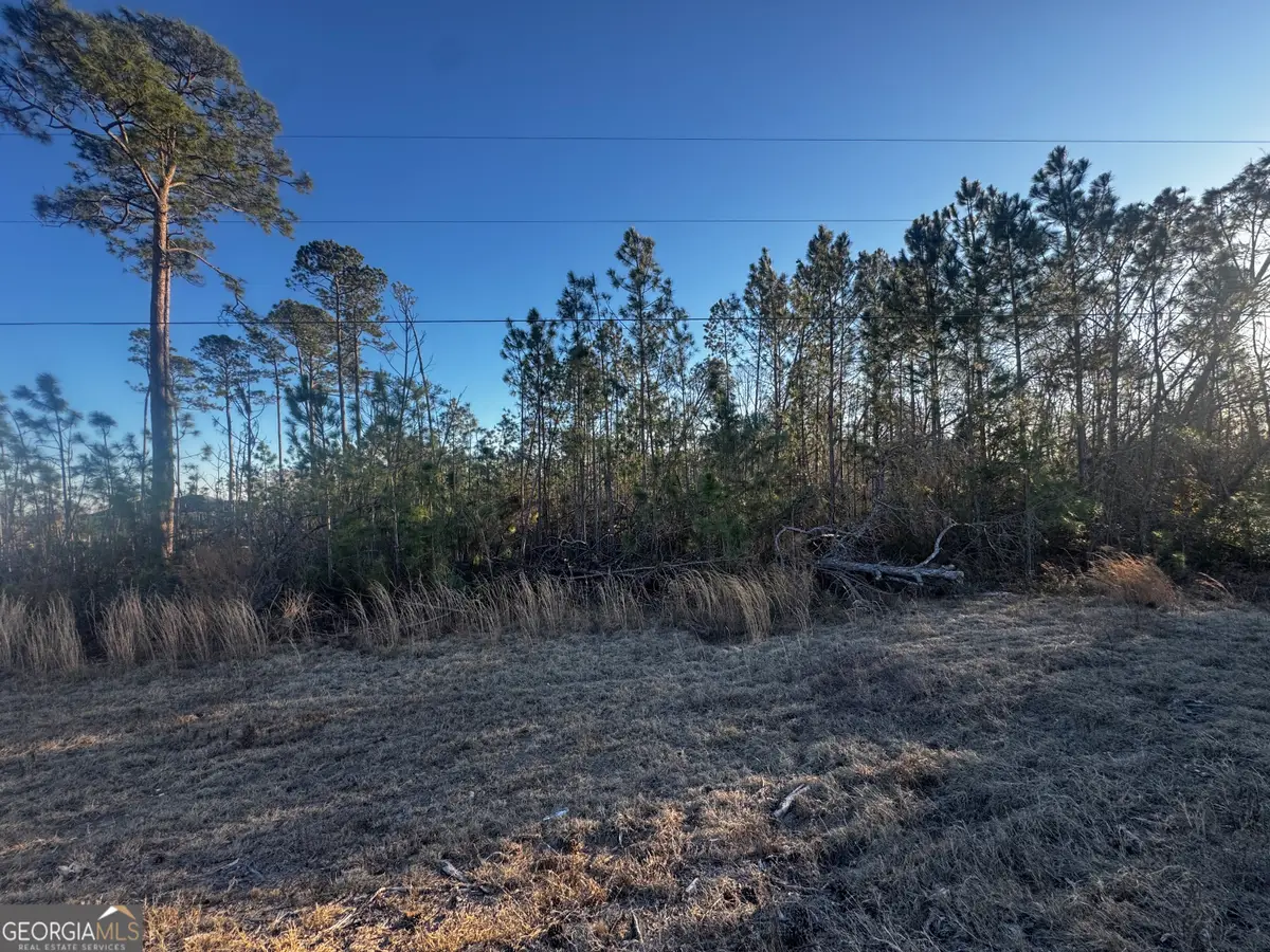 0 Hwy 107, Denton, GA 31532 - #1