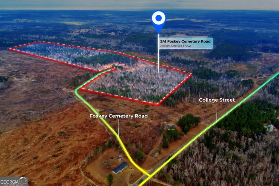 241 Foskey Cemetary Road, Adrian, GA 31002 - #2