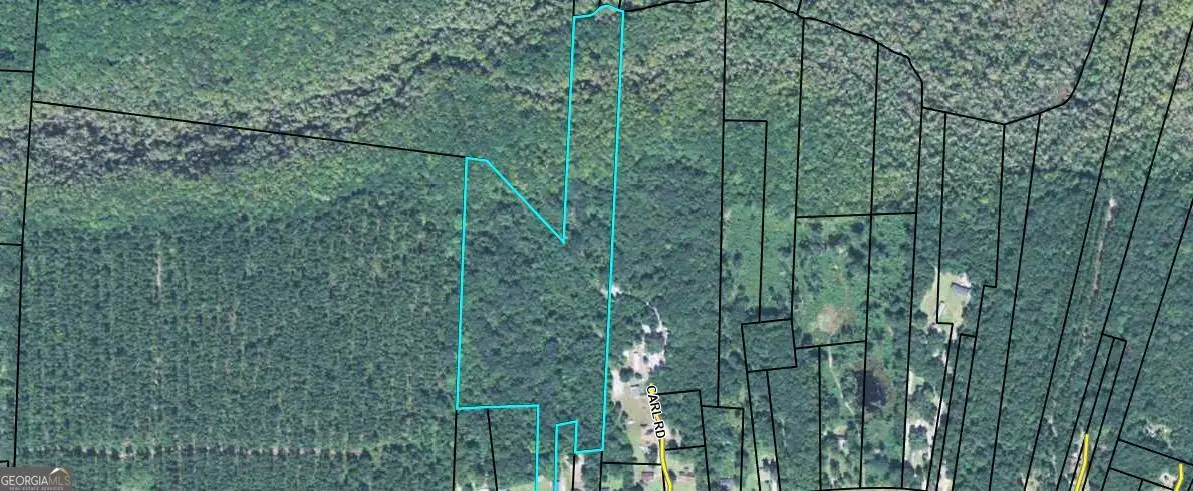 8434 Eb Cooper Highway, Riceboro, GA 31323 - #1