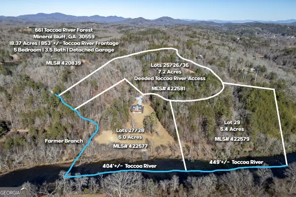 LOT 29 Toccoa River Forest, Mineral Bluff, GA 30559