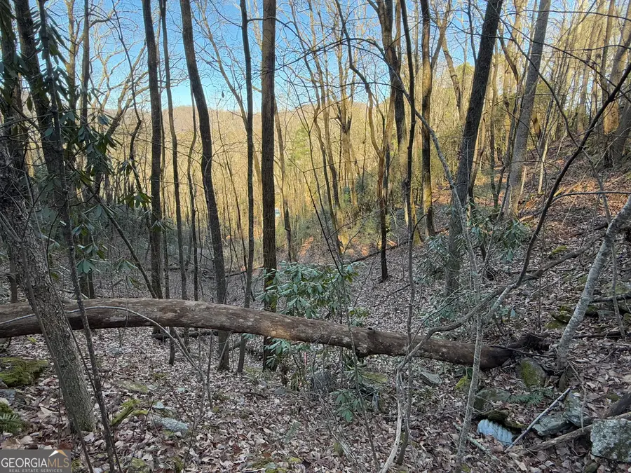 0 ARBUTUS TRAIL Arbutus Trail, Clayton, GA 30525 - Image #2