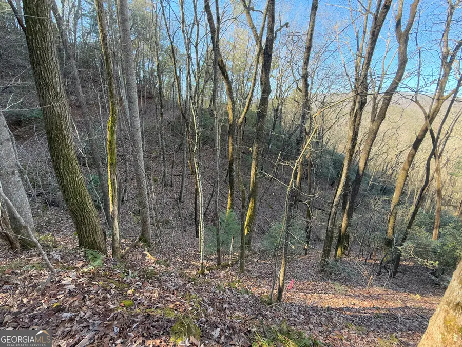 0 ARBUTUS TRAIL Arbutus Trail, Clayton, GA 30525 - Image #3